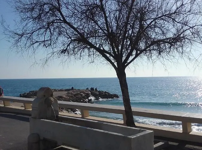 A 2 Pas Du Palais * Cannes