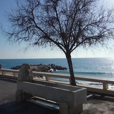 A 2 Pas Du Palais * 칸느